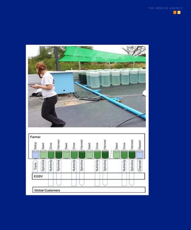 EnerGaia — Delivering Financial & Operational Modeling and Investment Readiness for Gender-Transformative Smallholder Algae Farming